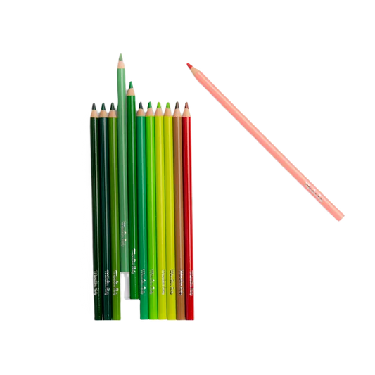 12 NATURE COLORING PENCILS AND 3 COLORING CARDS "LE JARDUN DU MOULIN"