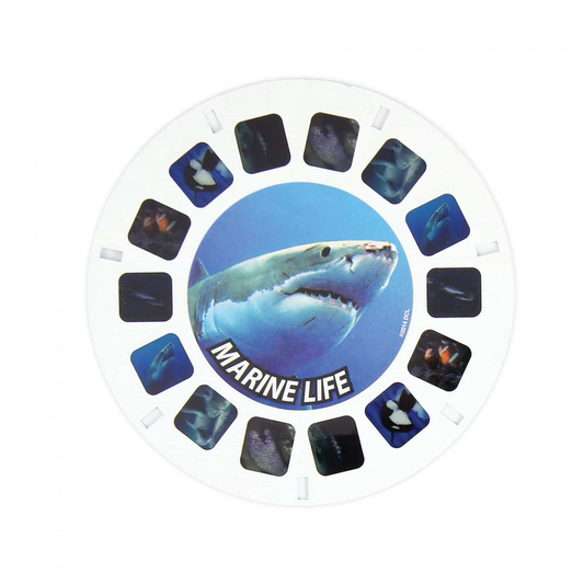 VIEWMASTER "MARINE LIFE" REFILL