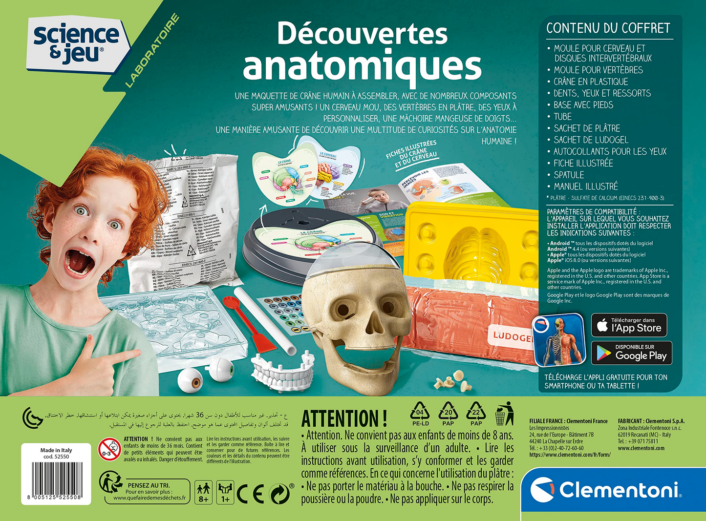ANATOMICAL DISCOVERIES