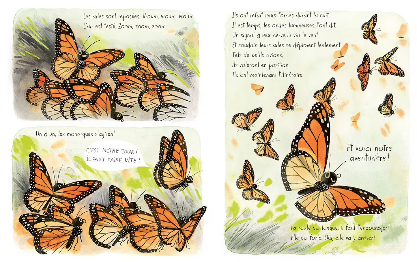 LIVRE LE PAPILLON MONARQUE