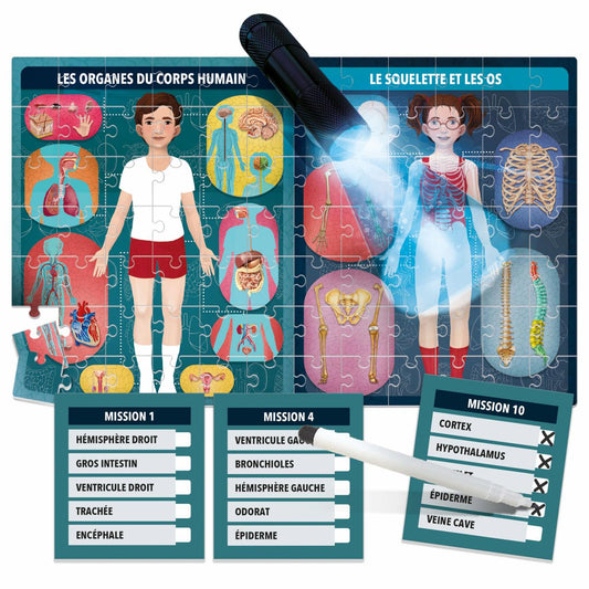 THE HUMAN BODY UNDER X-RAYS (FR ONLY)