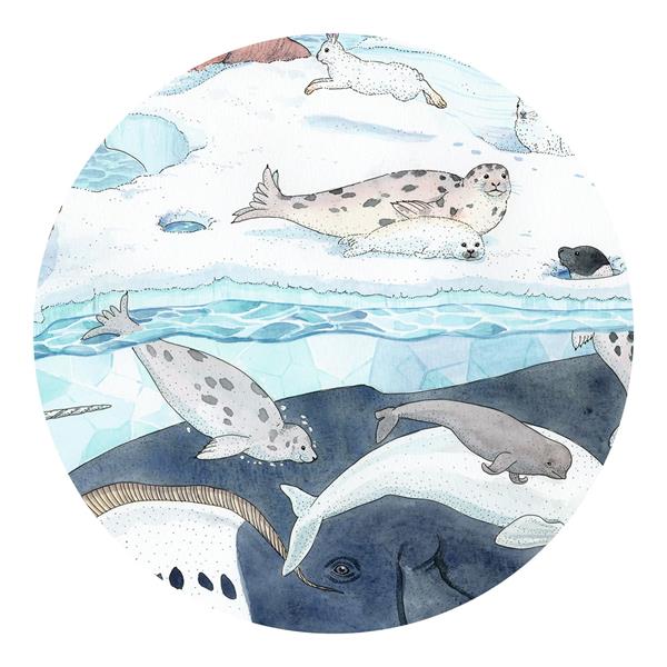 Gros plan des illustrations à l'aquarelle du puzzle Djeco montrant des phoques, un béluga et une baleine sous l'eau glacée.