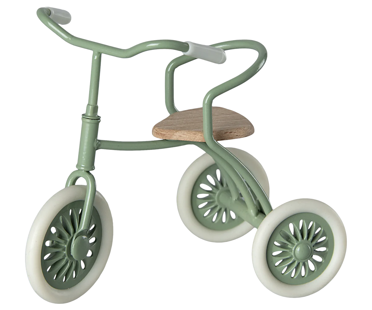 TRICYCLE ET ABRI VERT POUR SOURIS