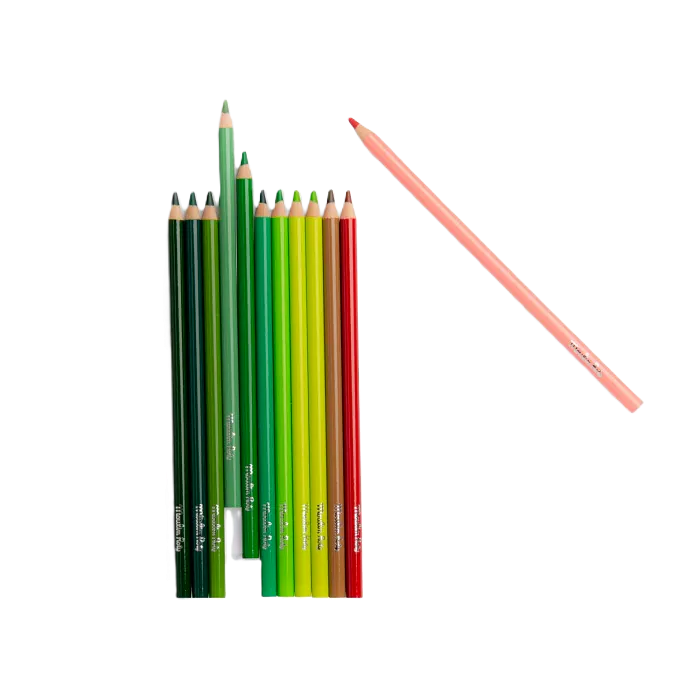 12 NATURE COLORING PENCILS AND 3 COLORING CARDS "LE JARDUN DU MOULIN"