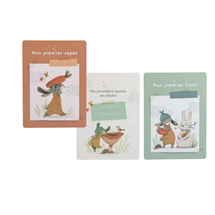 MES 12 PREMIERS MOIS "TROIS PETITS LAPINS"