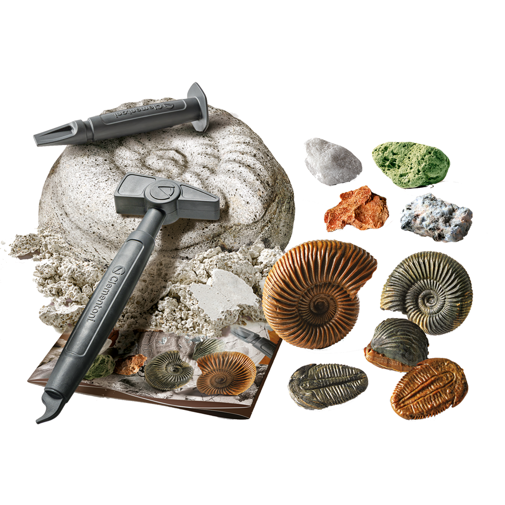 DISCOVER FOSSILS AND MINERALS