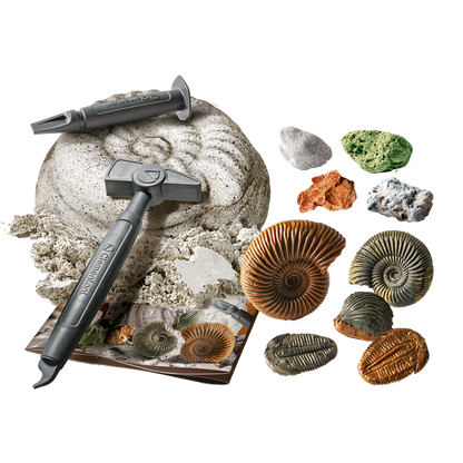 DISCOVER FOSSILS AND MINERALS
