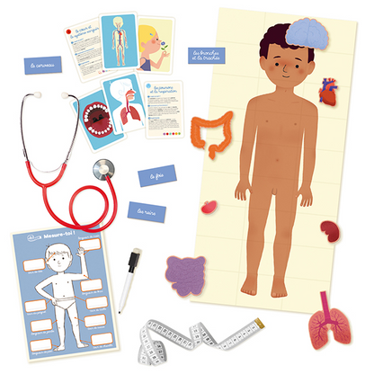 THE HUMAN BODY "AT THE RHYTHM OF A CHILD" 