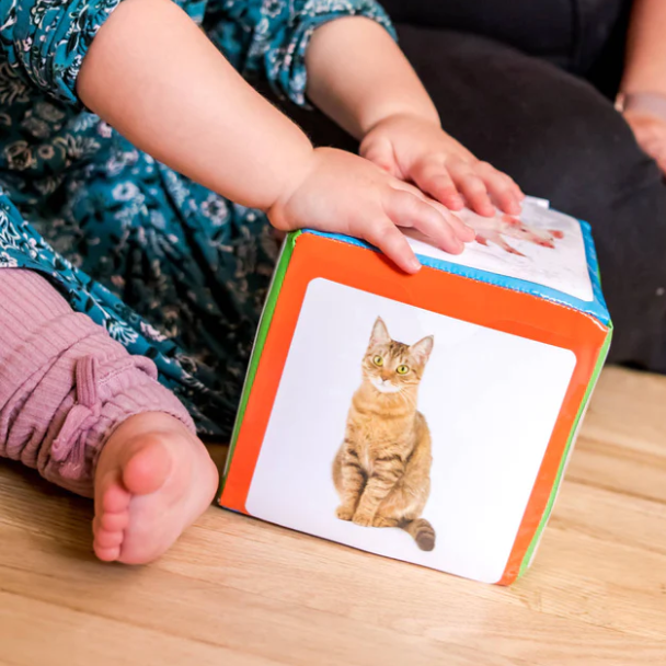 THE FIRST WORDS DICE 