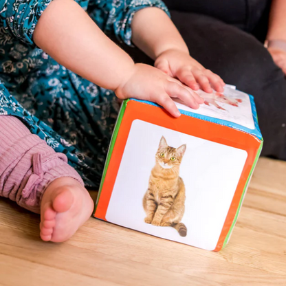 THE FIRST WORDS DICE 