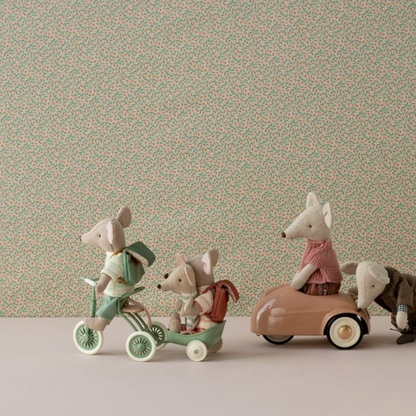 TRICYCLE ET ABRI VERT POUR SOURIS