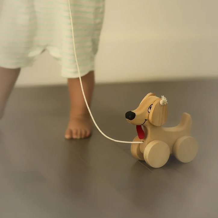 WOODEN PULL-AROUND DOG