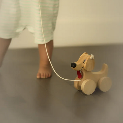 WOODEN PULL-AROUND DOG