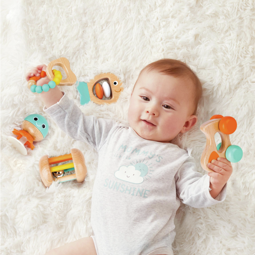 SET OF EVOLVING WOODEN TOY