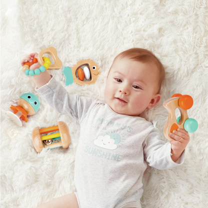 SET OF EVOLVING WOODEN TOY