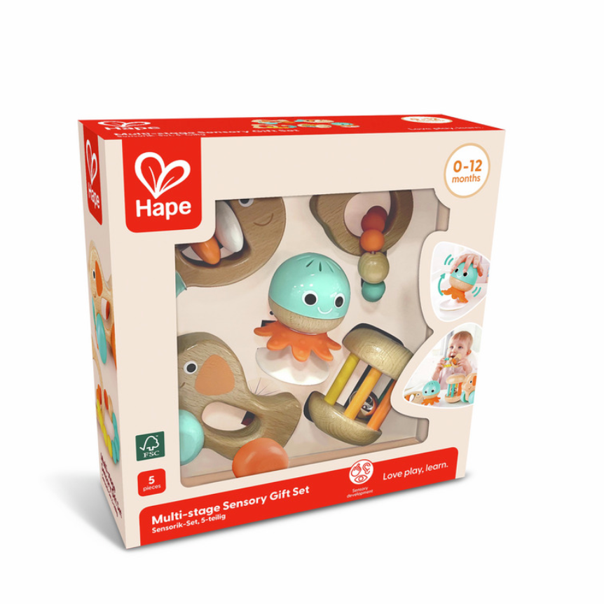 SET OF EVOLVING WOODEN TOY