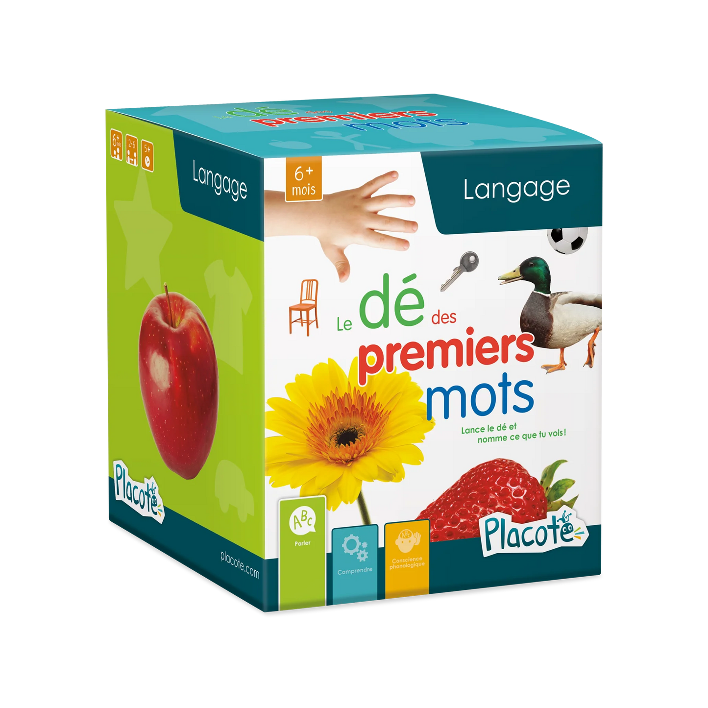 THE FIRST WORDS DICE 