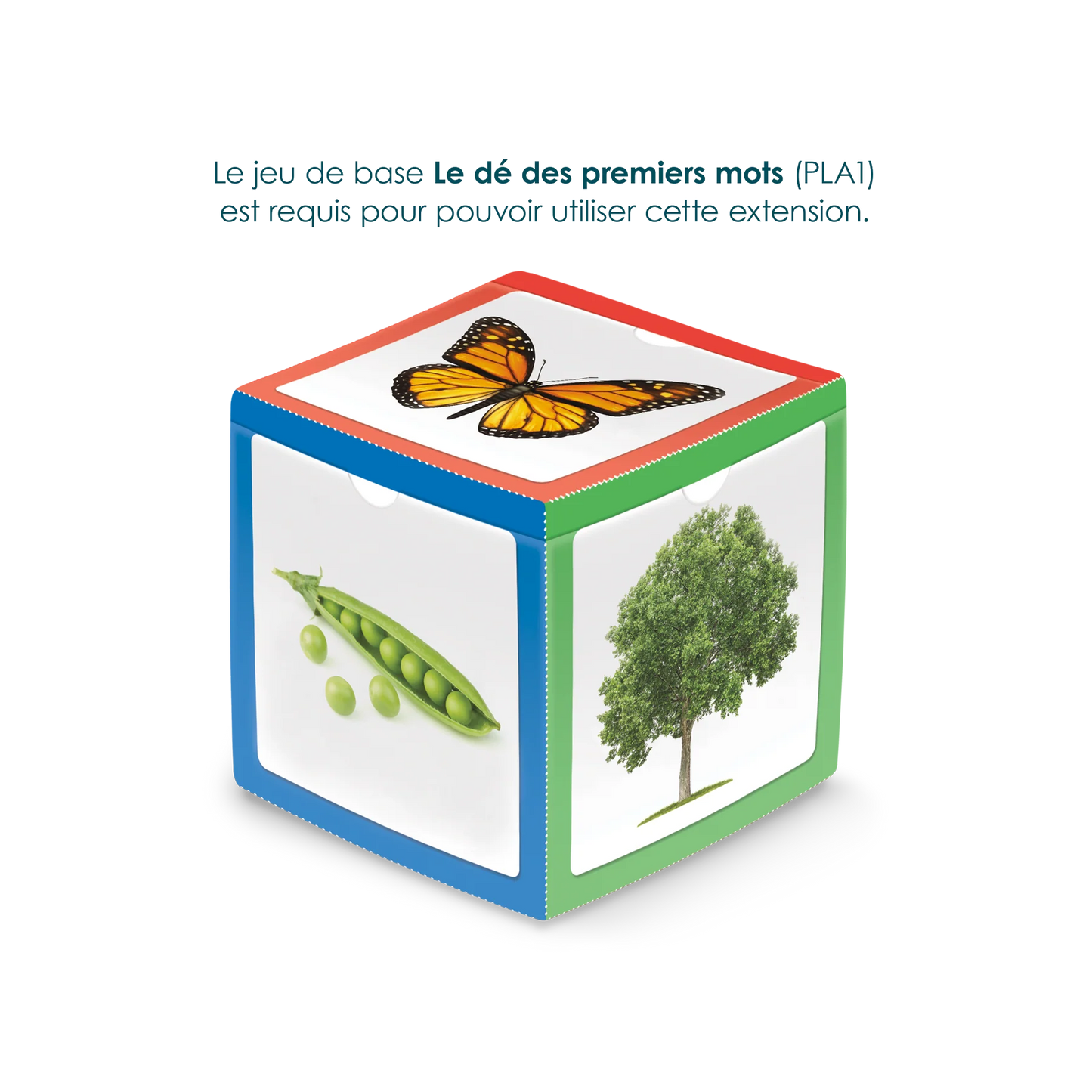 THE ACTION DICE - EXTRA CARDS 