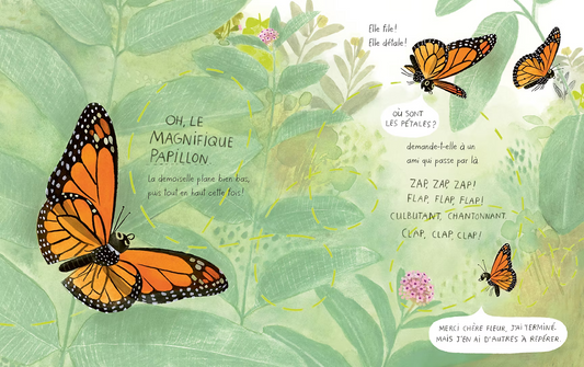 LIVRE LE PAPILLON MONARQUE