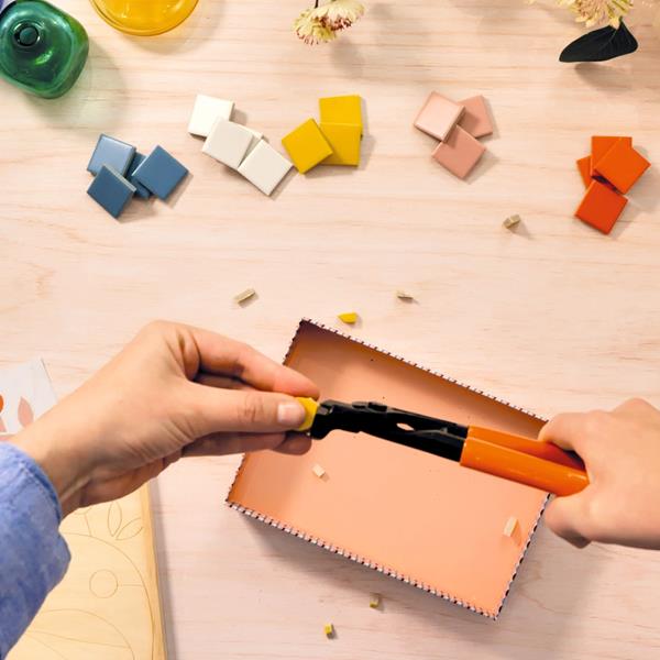 WORKSHOP 72 DRAGONFLY MOSAIC "ATELIER GRANDS AUGUSTINS"