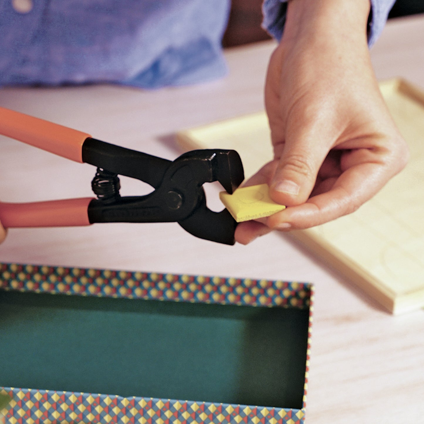 ATELIER 73 MOSAÏQUE PAON "ATELIER GRANDS AUGUSTINS"