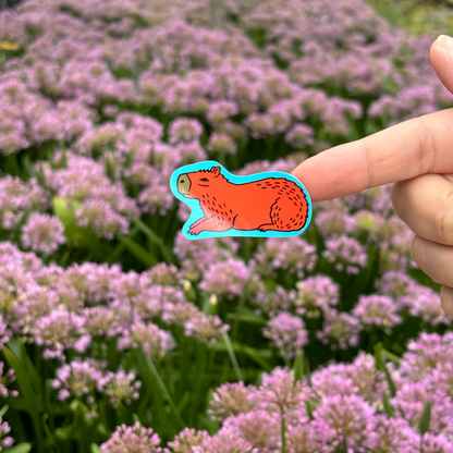 AUTOCOLLANTS ANIMAUX DES 5 ÉCOSYSTÈMES DES AMÉRIQUES