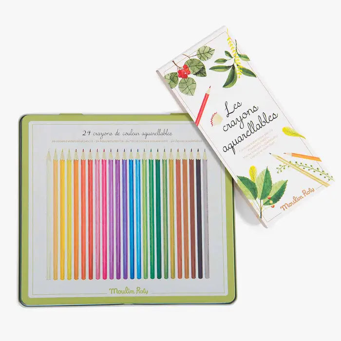 Gros plan sur la rangée de crayons de couleur aquarellables Moulin Roty, montrant le dégradé de couleurs vives et le petit logo de pinceau gravé sur chaque manche.