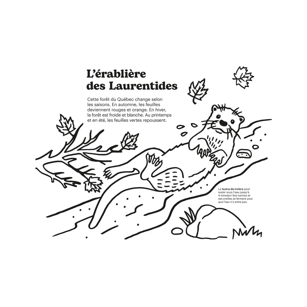 Cahier à colorier cing écosystèmes des Ameriques par François Leveillée signé Paperole