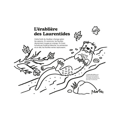 Cahier à colorier cing écosystèmes des Ameriques par François Leveillée signé Paperole