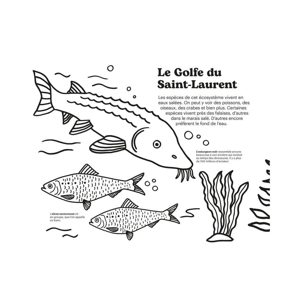Cahier à colorier cing écosystèmes des Ameriques par François Leveillée signé Paperole