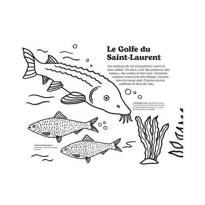 Cahier à colorier cing écosystèmes des Ameriques par François Leveillée signé Paperole