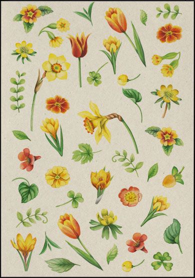 Flower Greeting Card