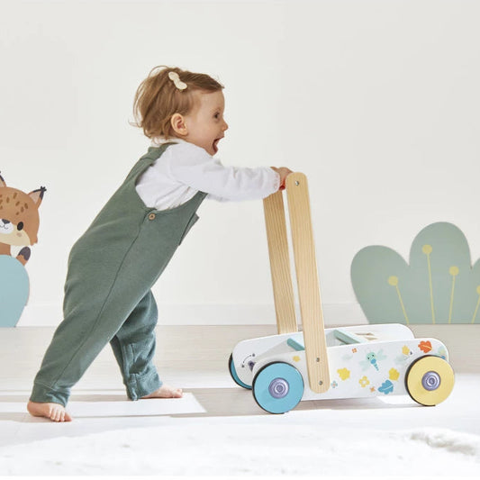 CHARIOT DE MARCHE CUBES EN BOIS "PURE"