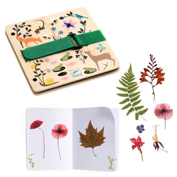 DIY CREATE A PRESS AND HERBARIUM