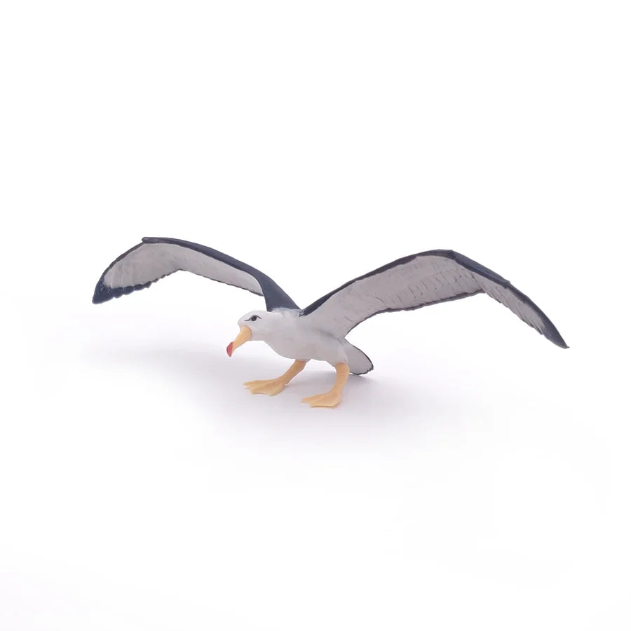 Figurine en plastique peinte à la main Albatros Papo aux ailes déployées et bec crochu orange, vue de trois-quarts face sur fond blanc.