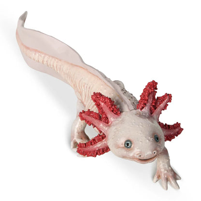Figurine d'axolotl rose Papo vue de haut et de face mettant en valeur ses branchies rouges.