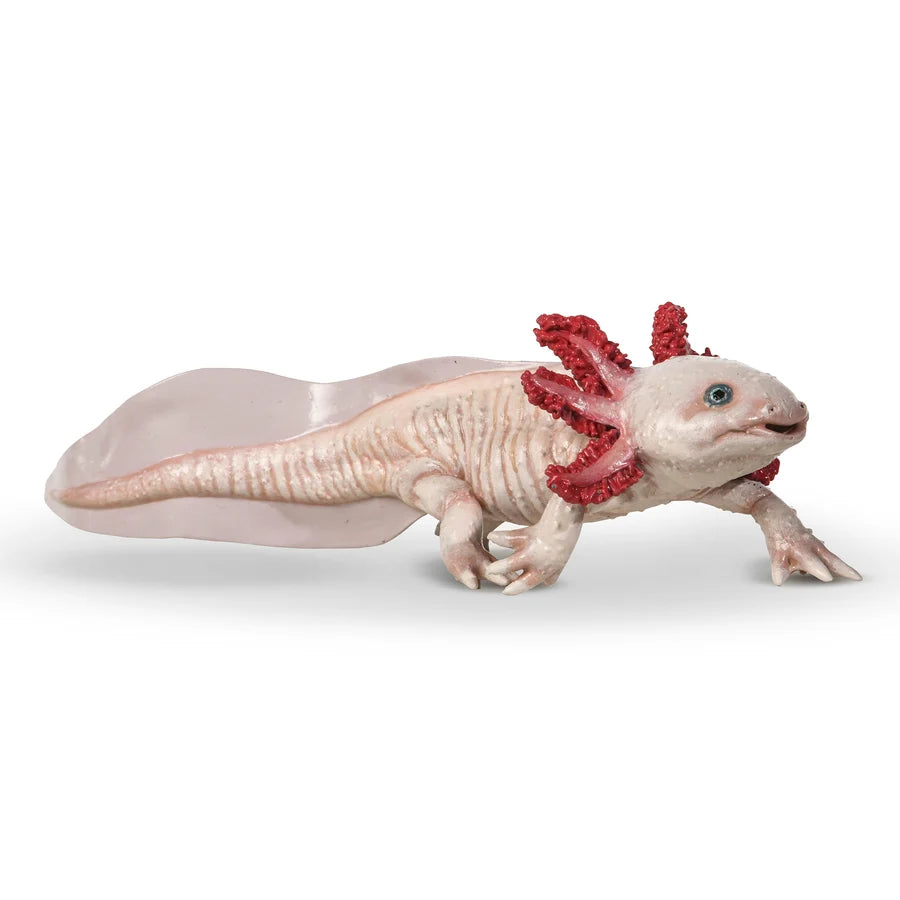 Figurine d'axolotl rose Papo vue de profil avec brancines rouges sur fond blanc.