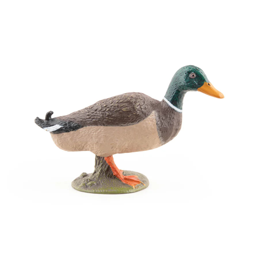 FIGURINE CANARD COLVERT
