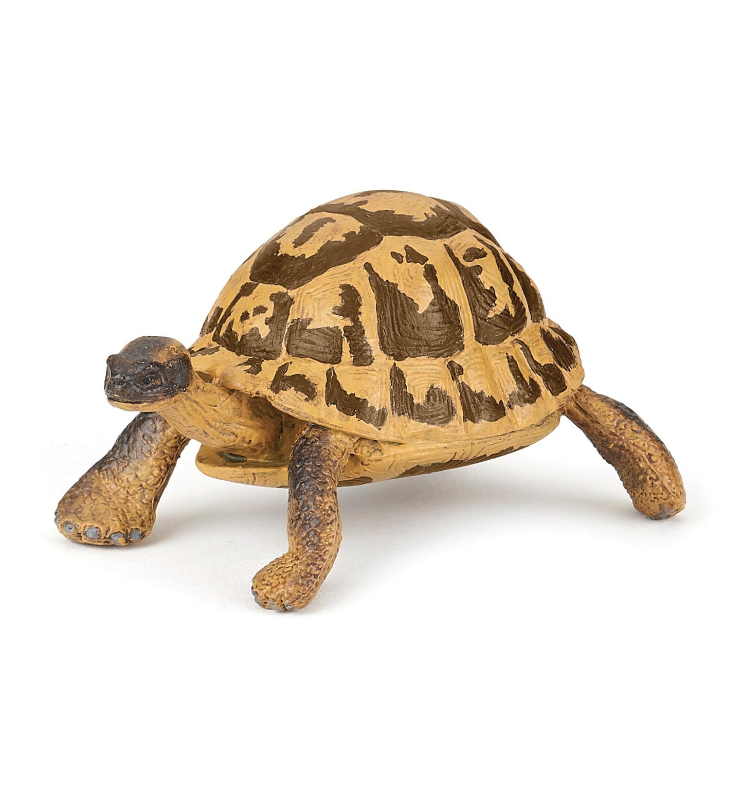 HERMANN'S TORTOISE FIGURINE