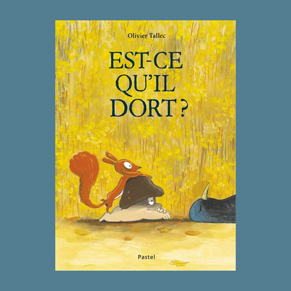 IS HE ASLEEP? (FRENCH ONLY)