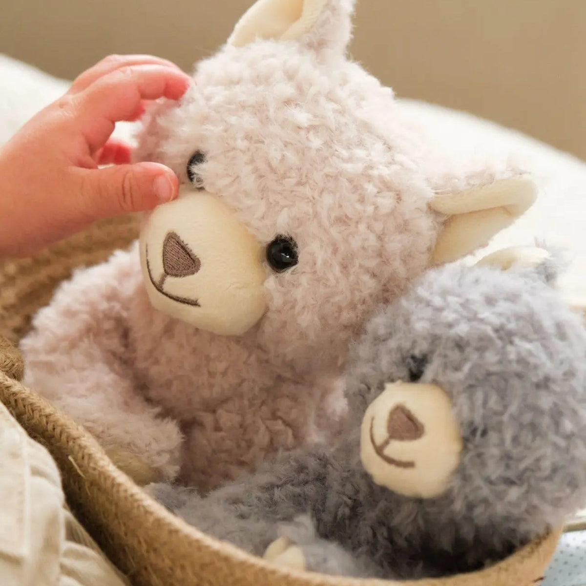 Gros plan sur les deux peluches chats Romy (le beige et le gris) installées ensemble dans un panier en corde, caressées par la main d'un enfant.