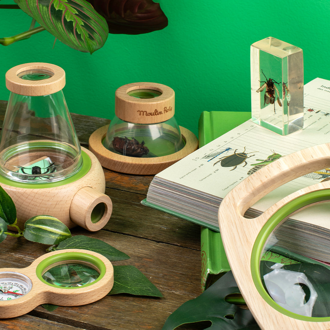 LA PETITE BOÎTE D'OBSERVATION "LE JARDIN DU MOULIN"