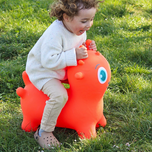 BALLON SAUTEUR "SUNNY JUMPER"