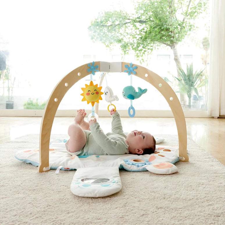 SNUGGLE BEAR ACTIVITY GYM