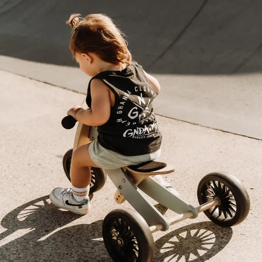 TRICYCLE ET DRASIENNE 2 EN 1 SAUGE EN BOIS