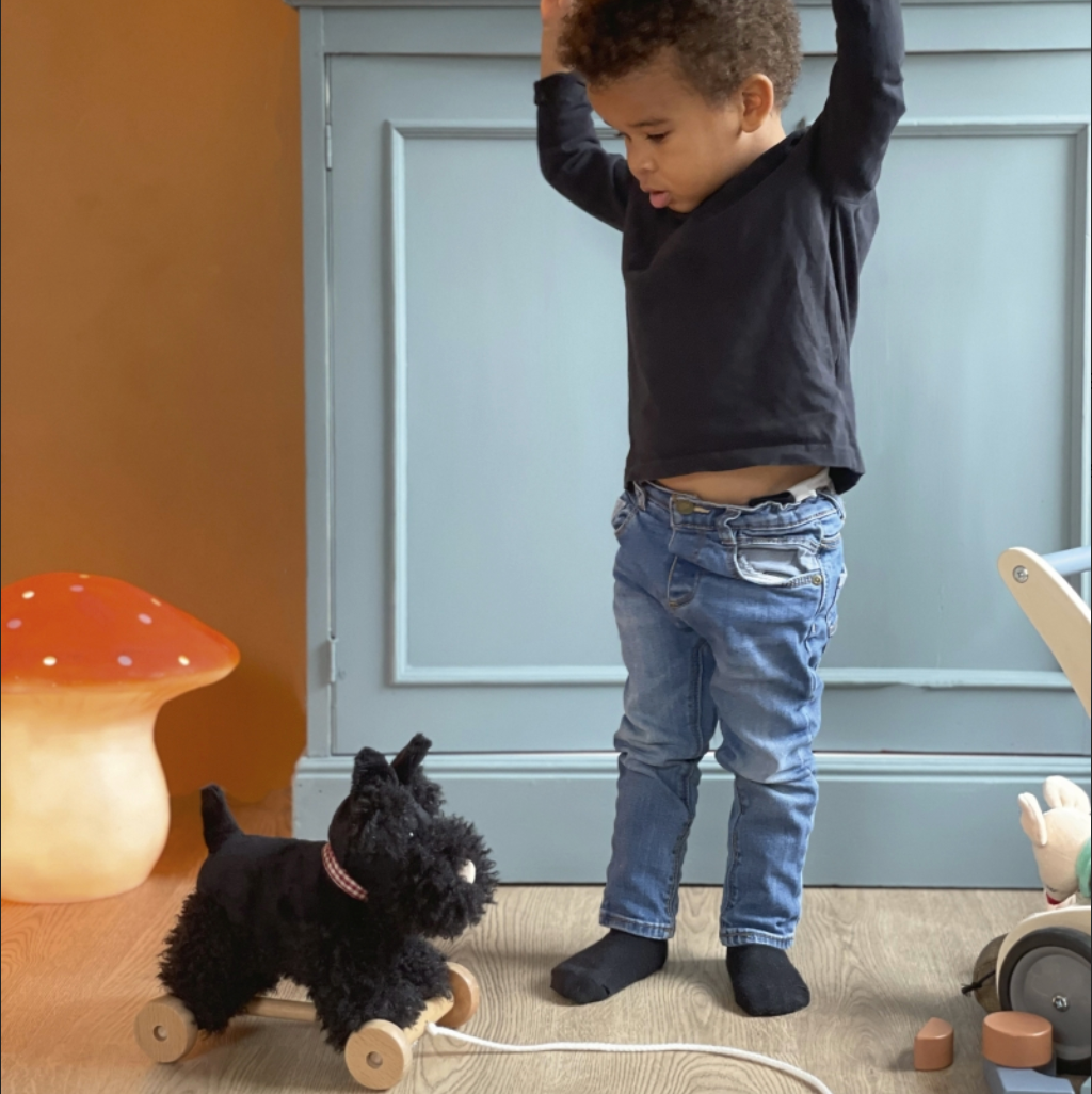 WALTER THE PULL-ON DOG